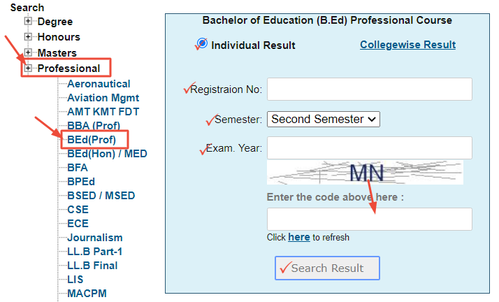 BEd (Prof) Exam Result 2022